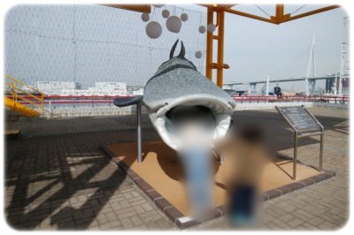 子連れで海遊館の混雑具合は イルカショーはないけどアザラシやアシカに癒されたよ 子育てわけっこ ぽっぽこブログ 子連れで海遊館の混雑具合は イルカショーはないけどアザラシやアシカに癒されたよ 子育てわけっこ ぽっぽこブログ