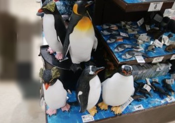 海遊館のおすすめお土産ランキング10選 ぬいぐるみからお菓子まで人気商品を紹介するよ 子育てわけっこ ぽっぽこブログ