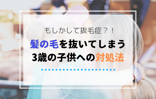 もしかして抜毛症 髪の毛を抜く3歳の子供に効果があった対処法 子育てわけっこ ぽっぽこブログ